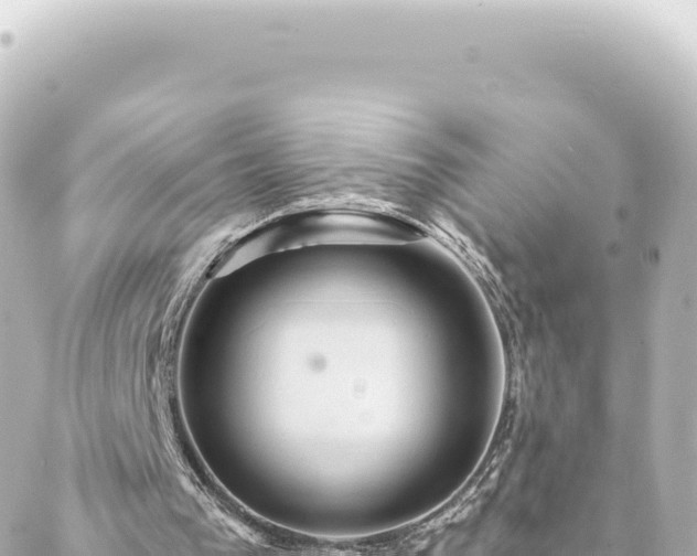 X0000088430193200705291533