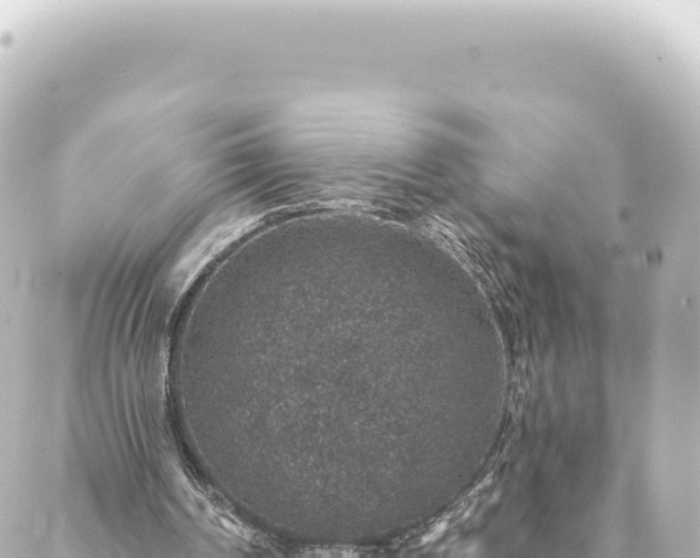 X0000088430194200705291533