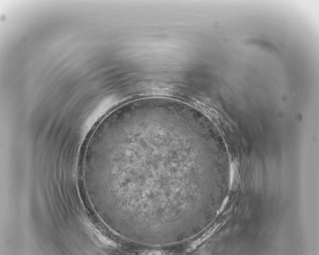 X0000088430195200705291533