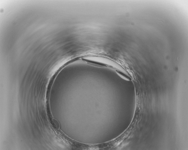 X0000088430196200705291533