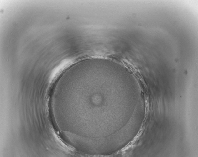 X0000088430197200705291533