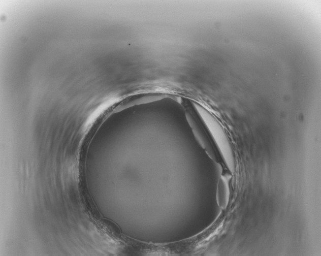 X0000088430200200705291533