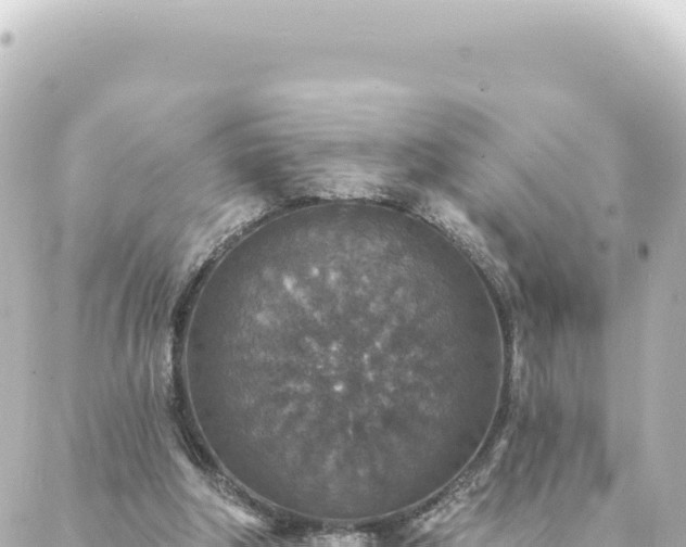 X0000088430202200705291533