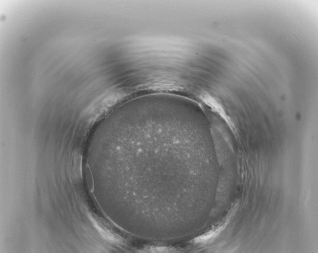 X0000088430205200705291533