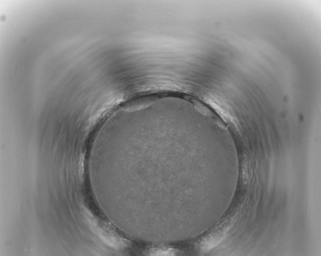 X0000088430206200705291533