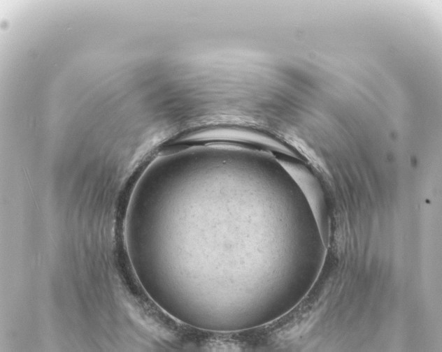 X0000088430207200705291533