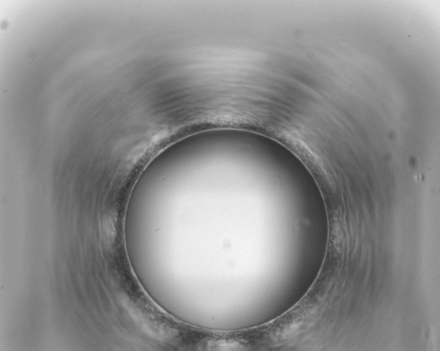 X0000088430208200705291533