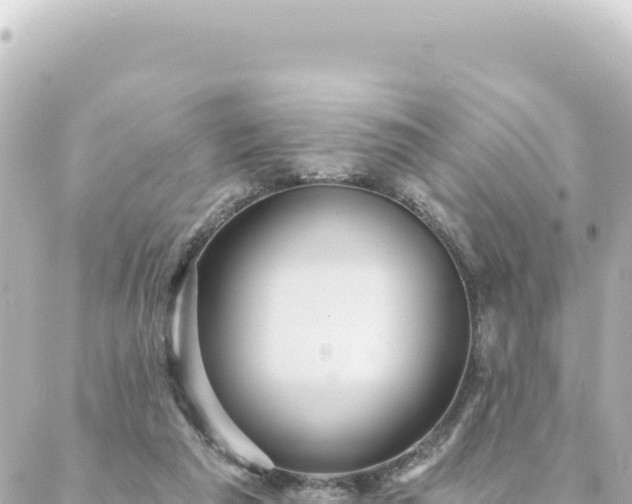 X0000088430209200705291533