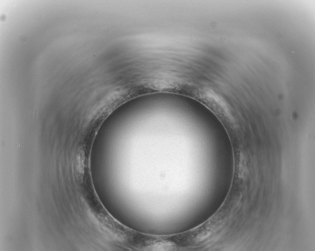 X0000088430210200705291533