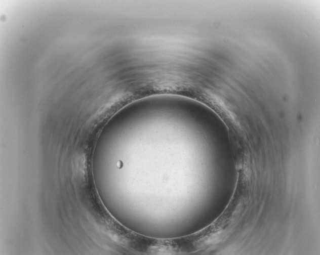 X0000088430211200705291533