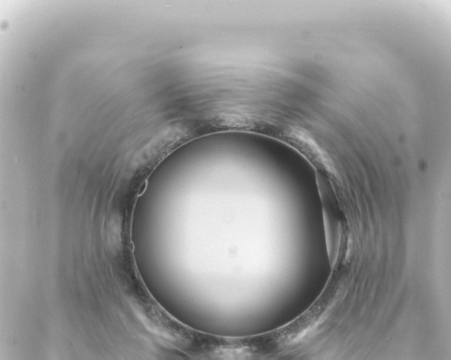 X0000088430213200705291533