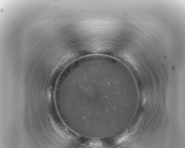 X0000088430214200705291533