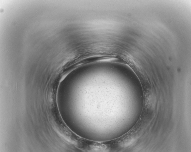 X0000088430215200705291533