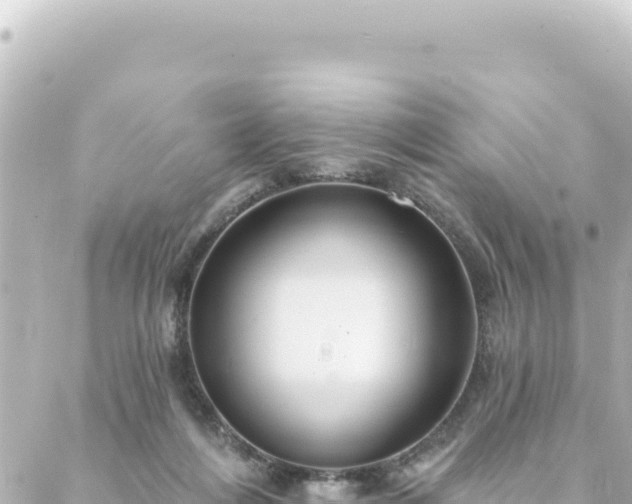 X0000088430216200705291533