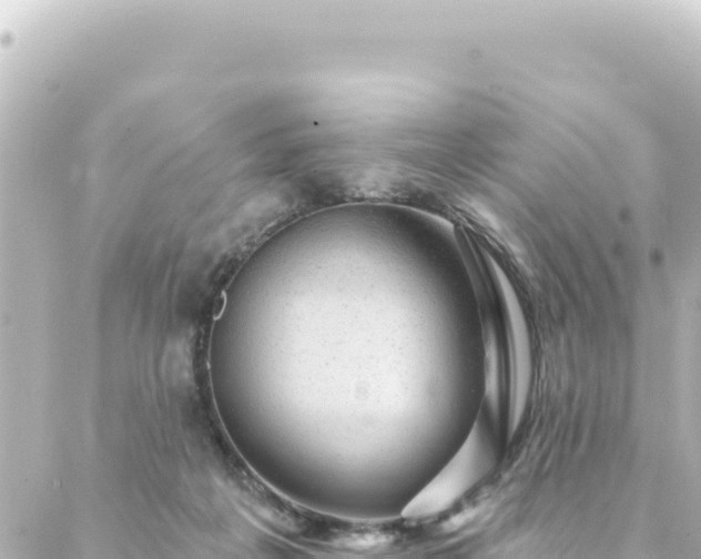 X0000088430217200705291533