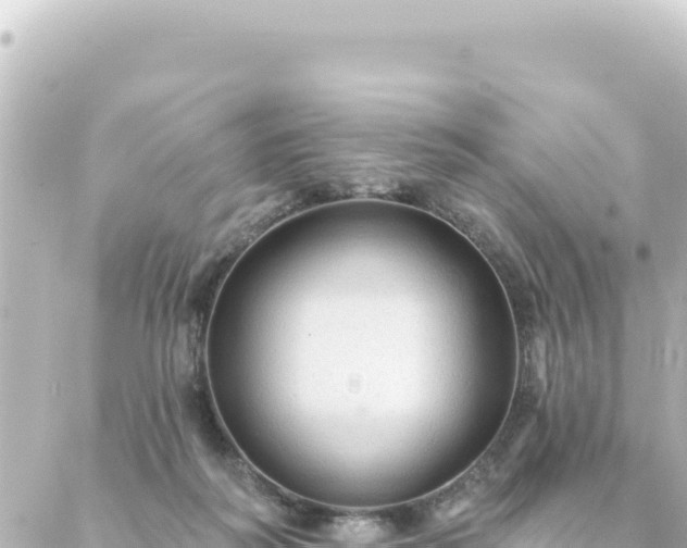 X0000088430218200705291533