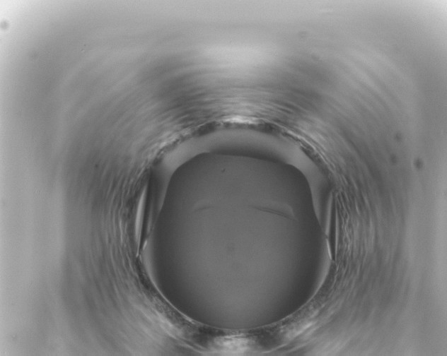 X0000088430219200705291533