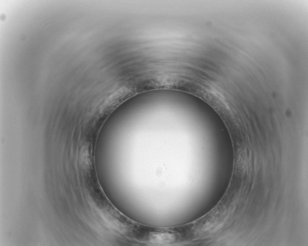 X0000088430220200705291533