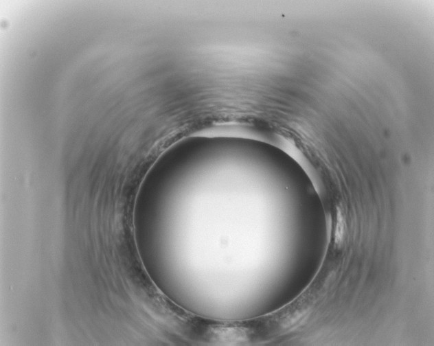 X0000088430221200705291533