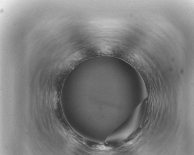 X0000088430223200705291533