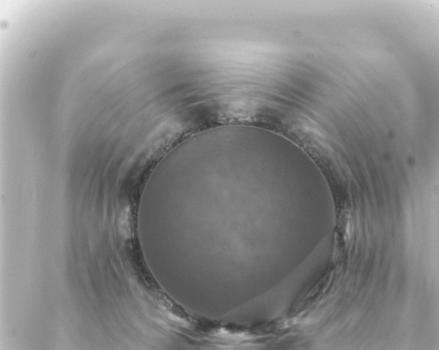 X0000088430224200705291533