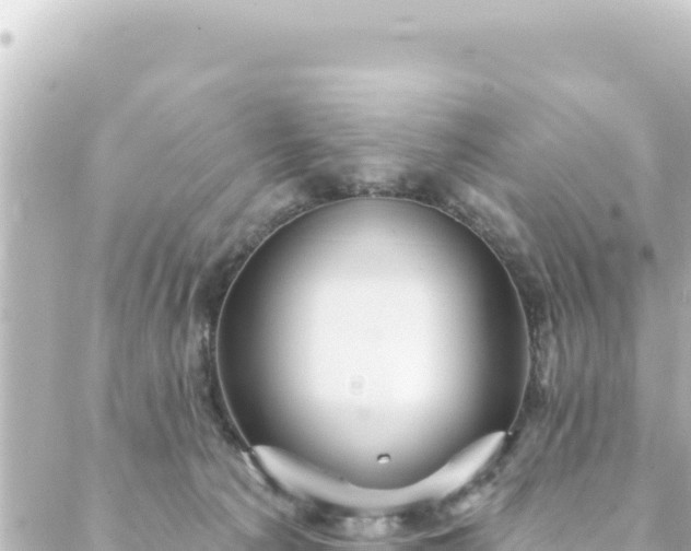 X0000088430225200705291533