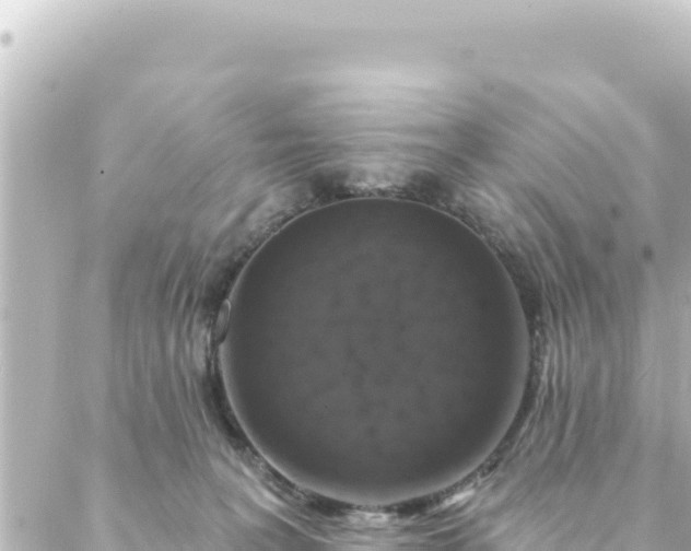 X0000088430227200705291533