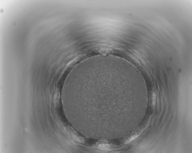 X0000088430228200705291533