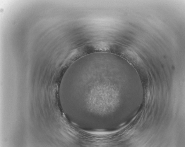 X0000088430229200705291533