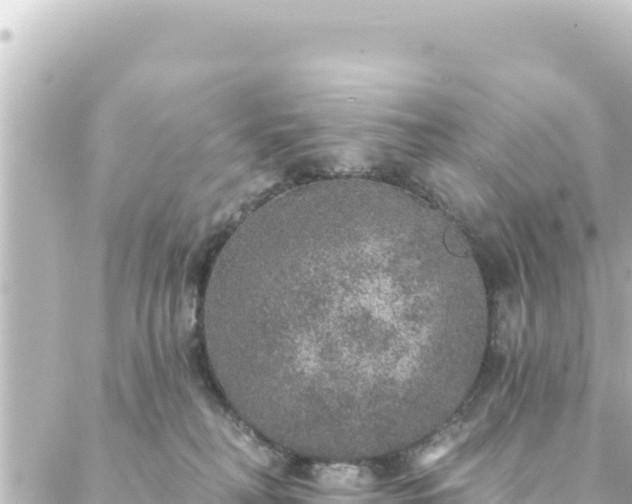 X0000088430230200705291533