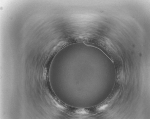 X0000088430231200705291533