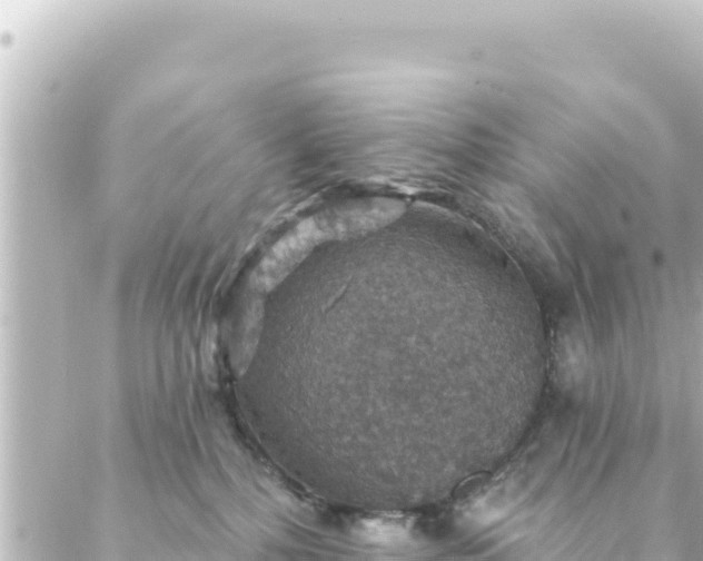 X0000088430232200705291533