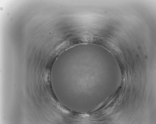 X0000088430233200705291533