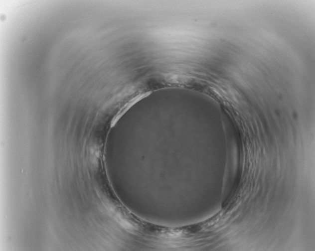 X0000088430235200705291533