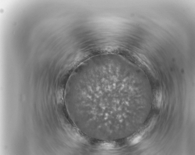 X0000088430236200705291533