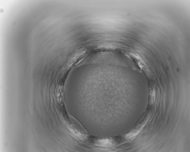 X0000088430237200705291533