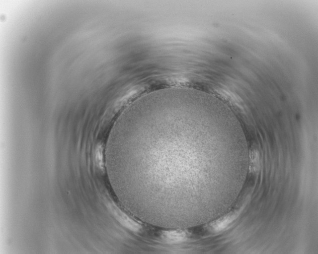 X0000088430238200705291533