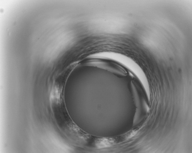 X0000088430239200705291533