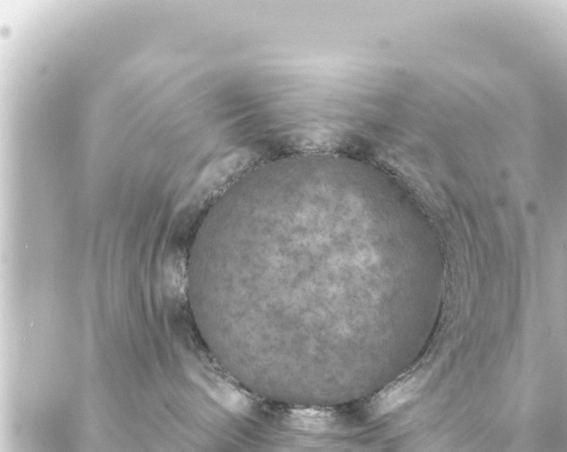 X0000088430240200705291533