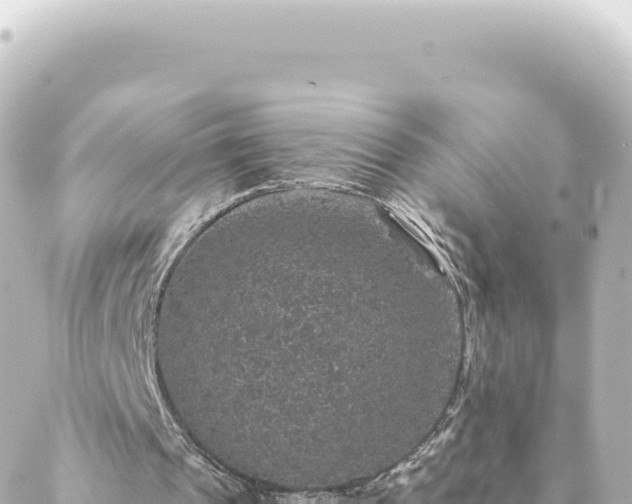 X0000088430241200705291532