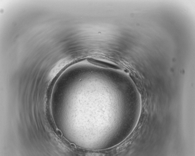 X0000088430242200705291532