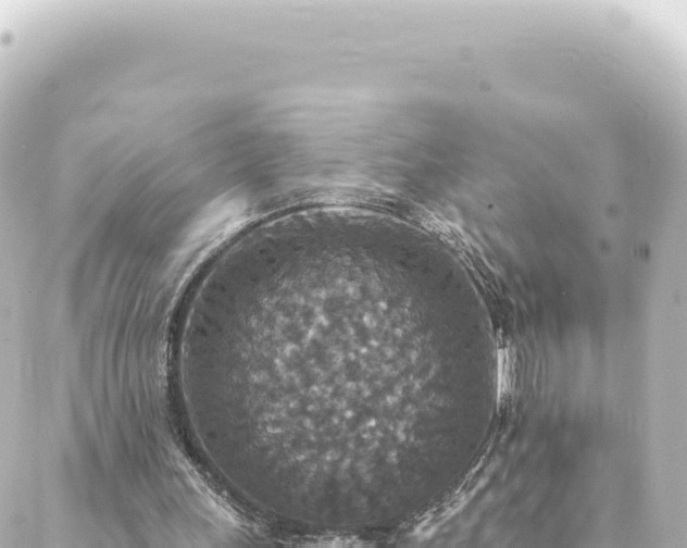 X0000088430243200705291532