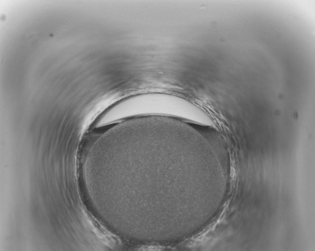 X0000088430244200705291532