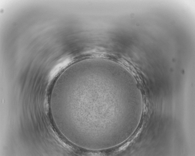 X0000088430245200705291532