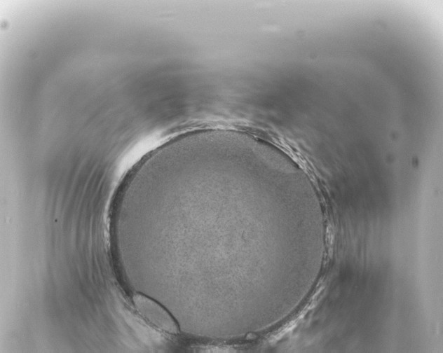 X0000088430246200705291532