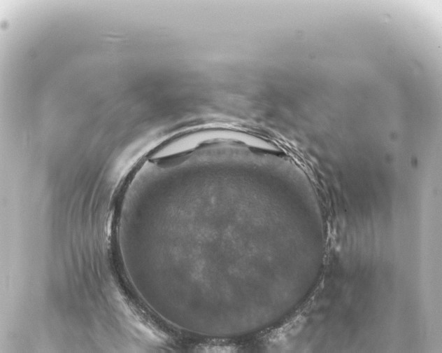 X0000088430247200705291532