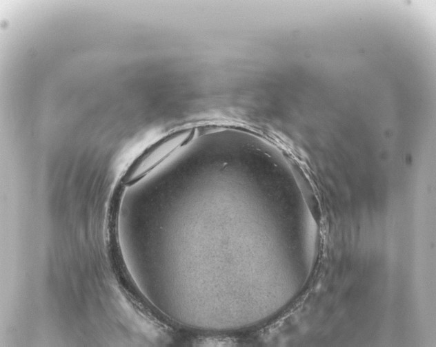 X0000088430248200705291532