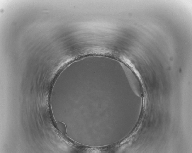 X0000088430249200705291532