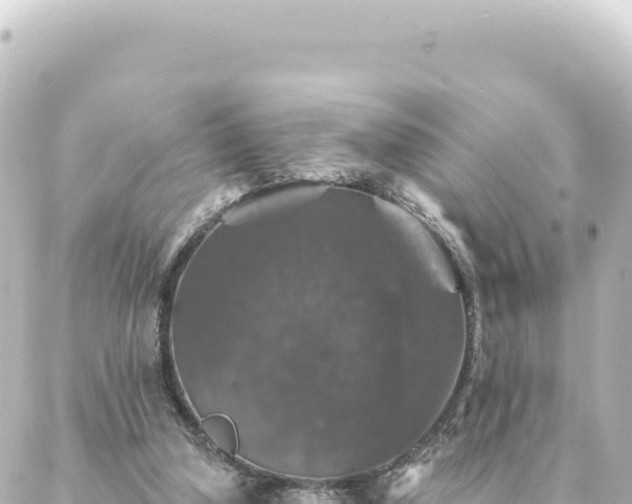 X0000088430250200705291532