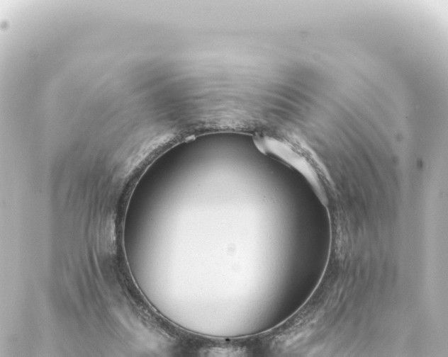 X0000088430251200705291532